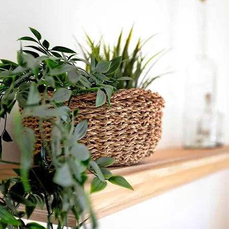 Erdgeschosswohnung Westerdeichstrich